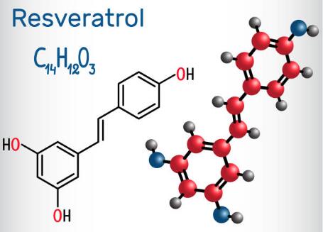 Pure Resveratrol Powder