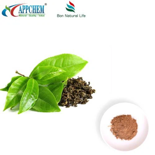 Green Tea 95 Polyphenols Powder