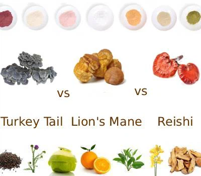 Chanpiyon fonksyonèl: Yon analiz konparatif Reishi, krinyè lyon an ak ekstrè ...