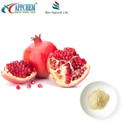 Ellagic Asid Powder