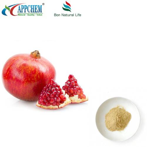 Pomegranate Peel Extrait Powder HPLC Done Tès