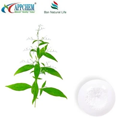 Andrographis paniculata ekstrè Andrographolide