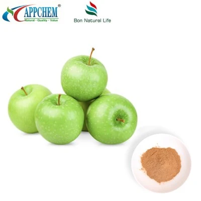 Apple ekstrè Procyanidin B2 Powder nan stock