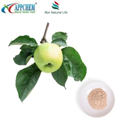 Engredyan kosmetik Phloretin 60-82-2