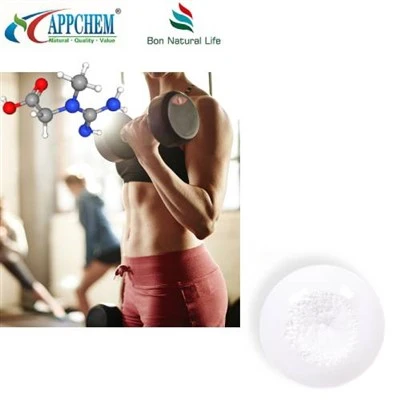 Kreatin Monohydrate Bulk Powder