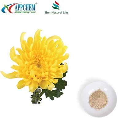 Flos Chrysanthemi Extrait Powder