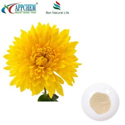 Flos Chrysanthemi Extrait