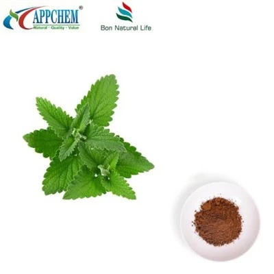 Powder Extrait Balm Sitwon