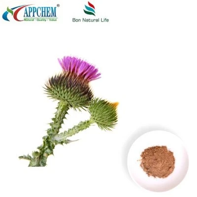 Lèt Thistle Grenn ekstrè