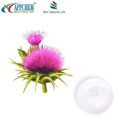 Silybin Milk Thistle Extrait