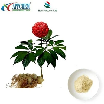 Ekstrè Rasin Notoginseng
