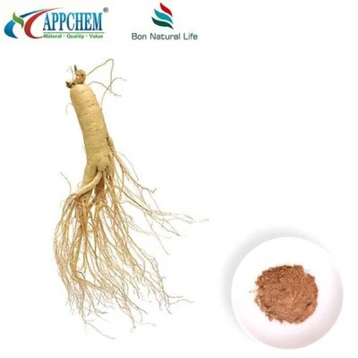 Panax Ginseng ekstrè poud