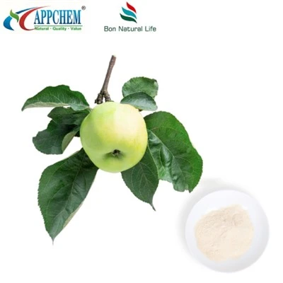 Phlorizin 60-82-1 Engredyan jesyon glikoz nan san