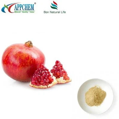 Pomegranate Peel Extrait Powder HPLC Done Tès