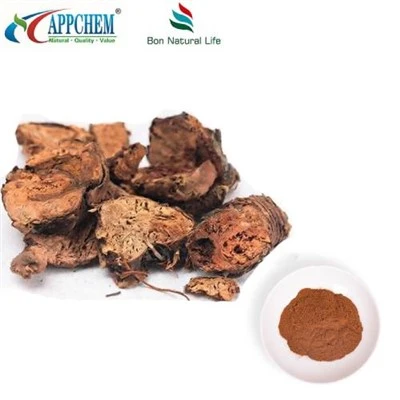 Rhodiola Rosea ekstrè poud