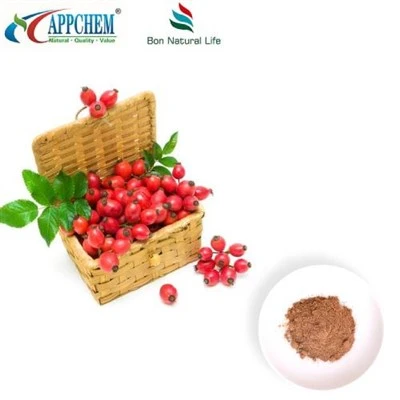 Rosehip ekstrè poud